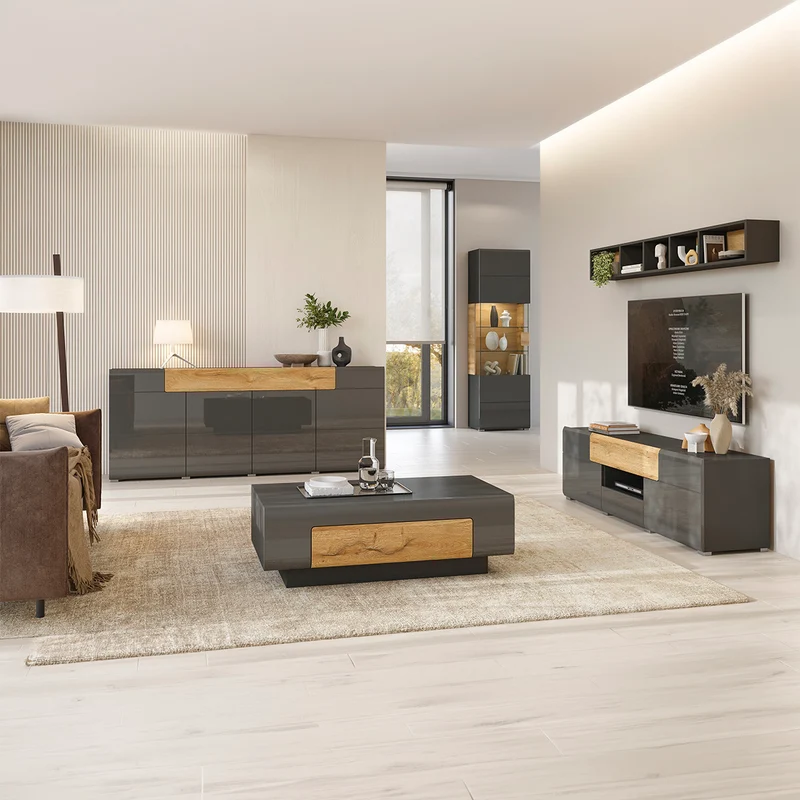 Vitrine 1 porte avec LED Jules Gris et Bois