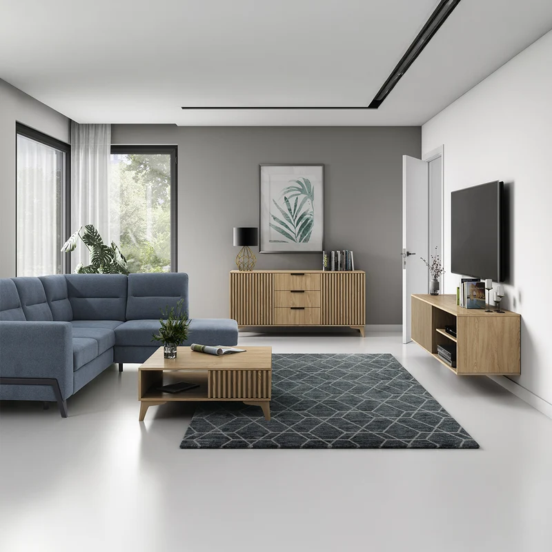 Meuble TV mural 1 porte 150 cm Esteban Bois
