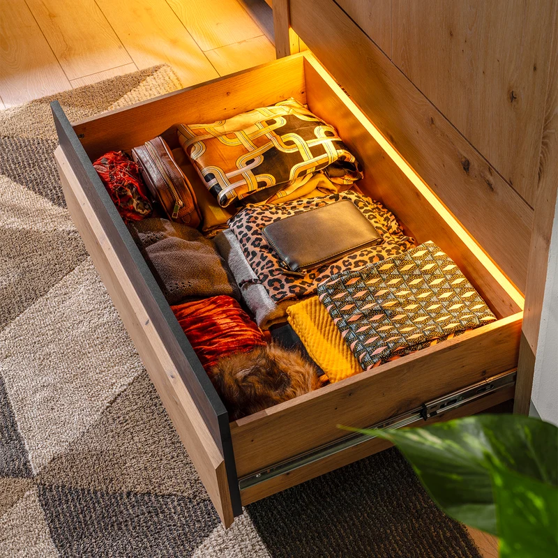 Armoire 2 portes 2 tiroirs avec LED Glenn Bois et Noir
