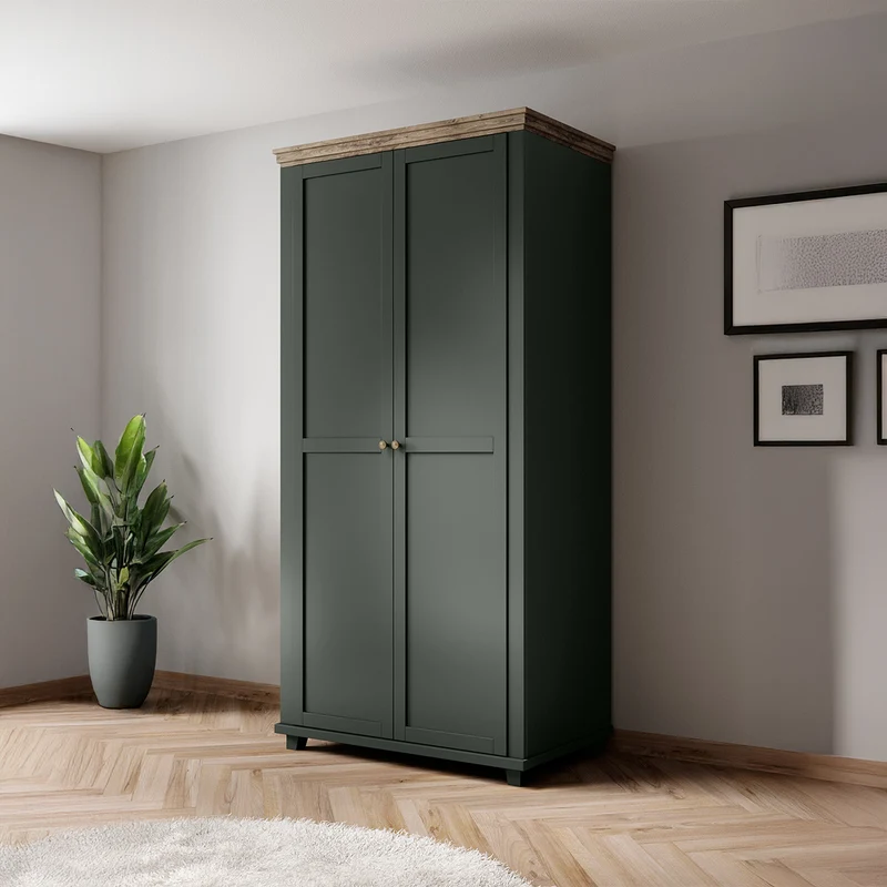 Armoire 2 portes Martin Vert et Bois