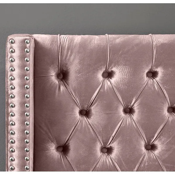 Dusty Pink Velvet Wing Bed with Deep Button Tufting & Nailhead Trim – IF-5895