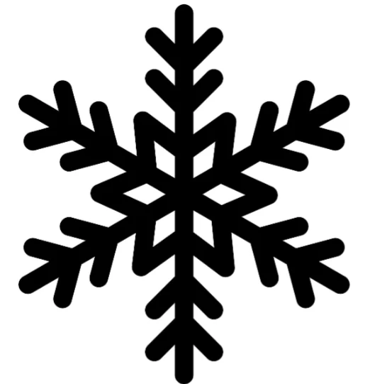 Sapin Noir | Flocon Etoile XL
