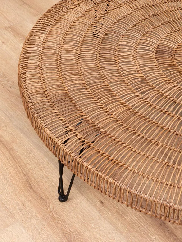 Grande Table Basse Obane