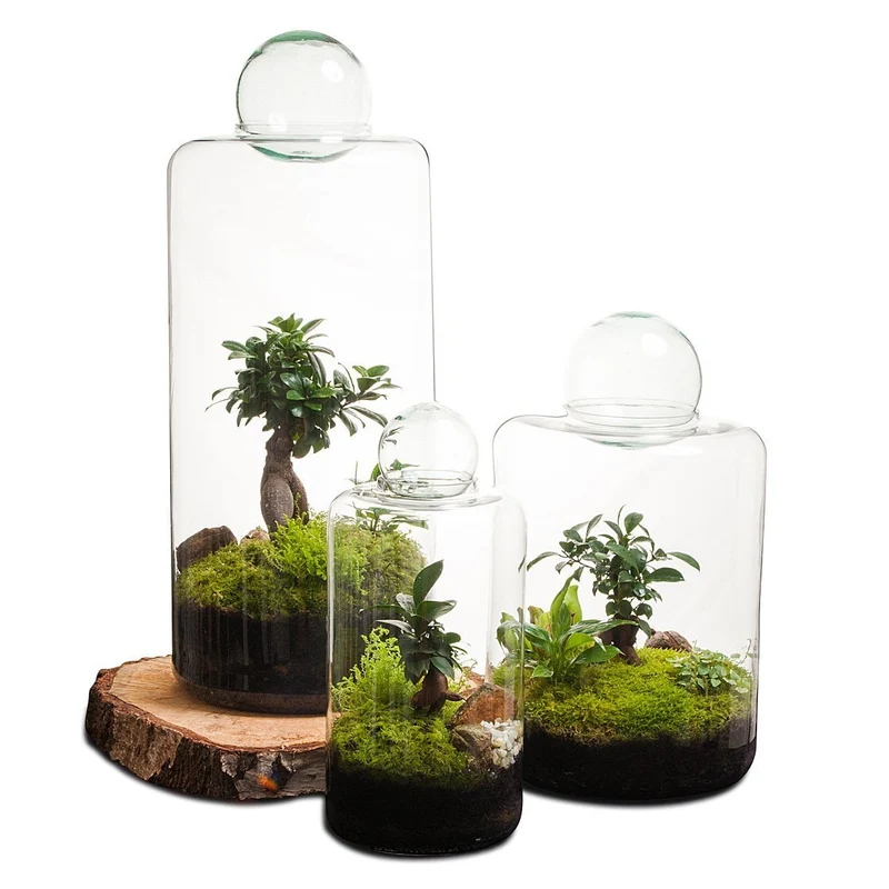 Super Size Garden Of Eden Terrarium