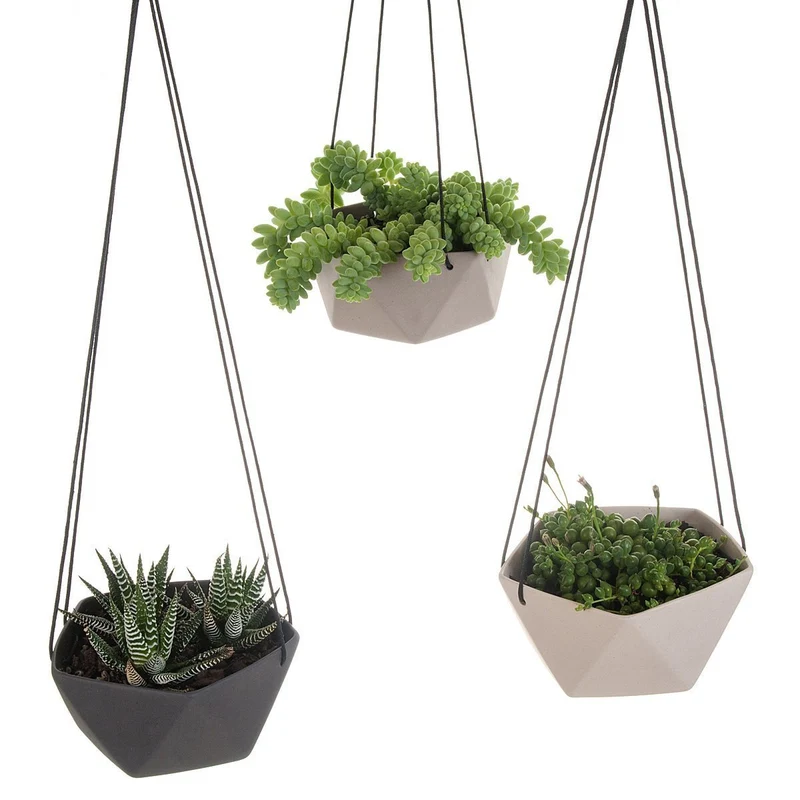 Geo Succulents Hanging Planter
