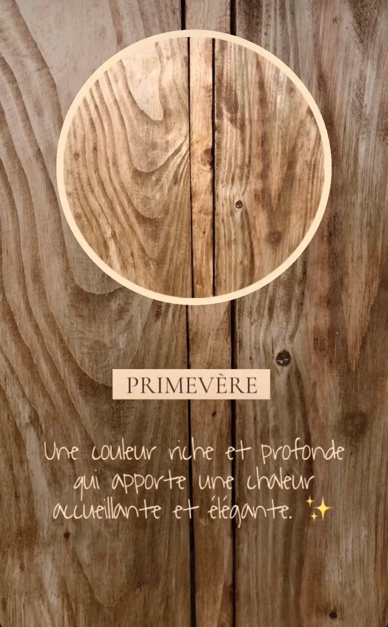 Table Basse de Salon carrée en Bois Massif