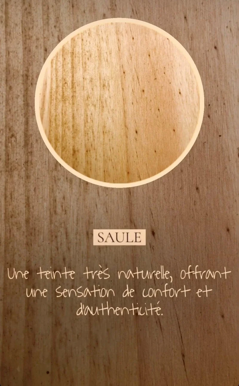 Table Basse de Salon carrée en Bois Massif