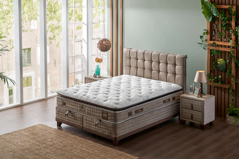 BAMBI SET COMPLET COTTON MASTER 2024