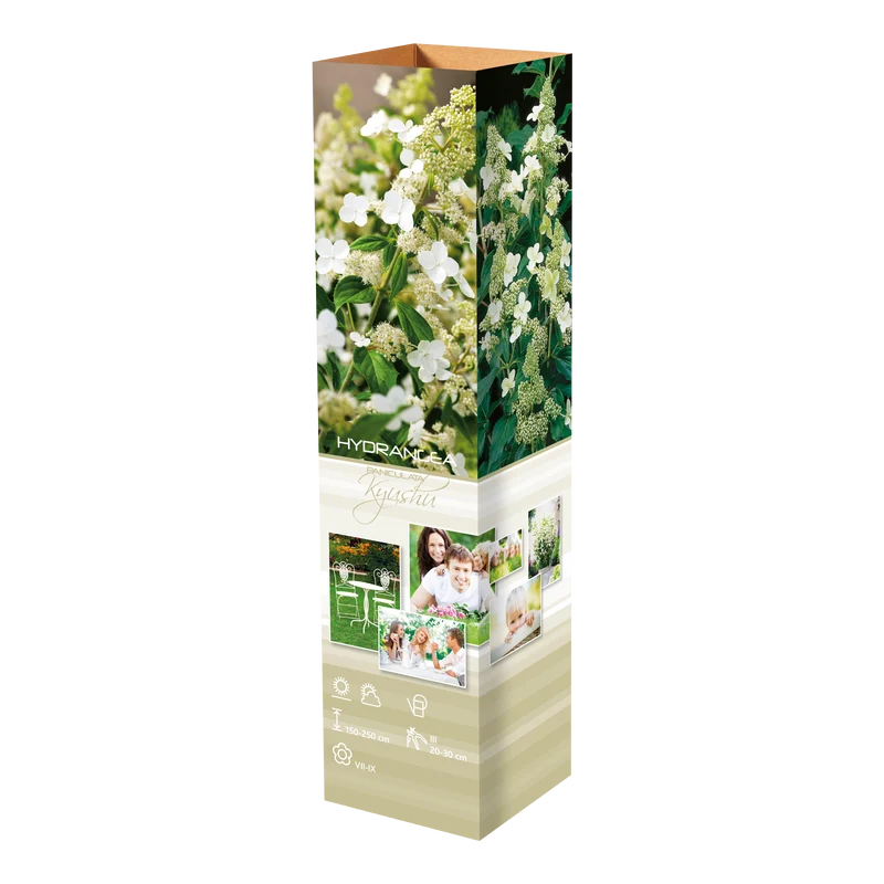 Lot de 4 hortensias : 1 rose blanc, 1 rose, 1 bleu, 1 blanc - 30-38 cm