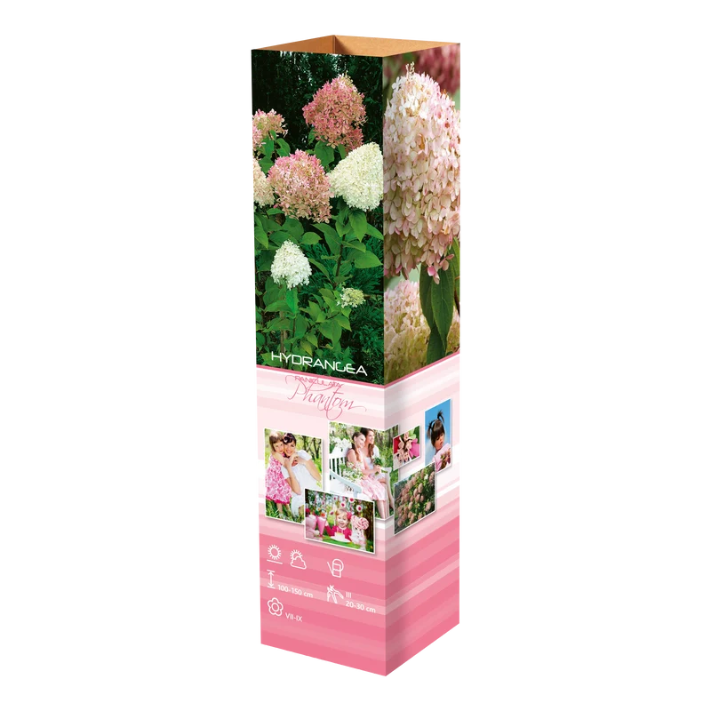Lot de 4 hortensias : 1 rose blanc, 1 rose, 1 bleu, 1 blanc - 30-38 cm