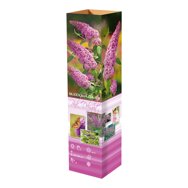 Mélange de 8 arbres aux papillons (Buddleia de David) à fleurs rouges, blanches, roses et violettes - 30-38 cm