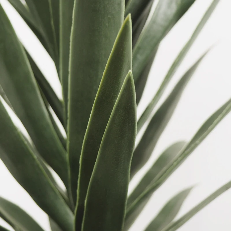 Plantes artificielles - Agave