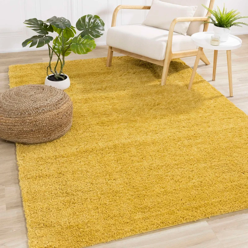 Tapis 5 pi x 8 pi - Pascal