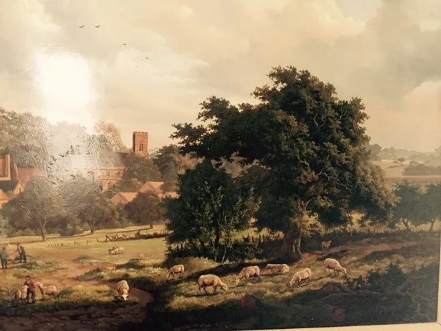 Sheep in a pasture