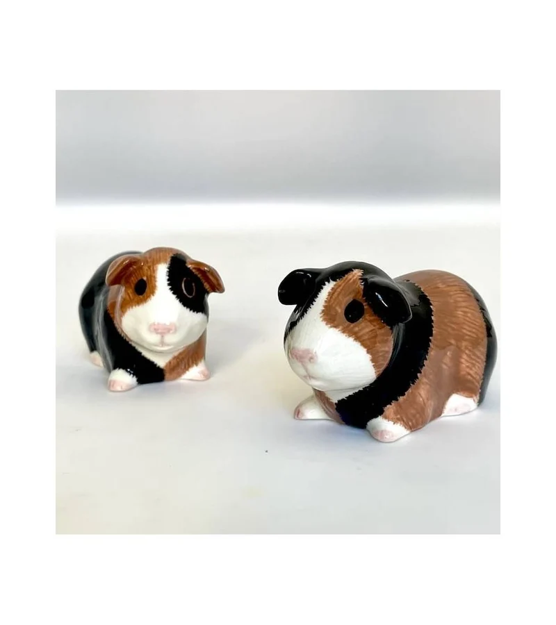 Sel & Poivre cochon d’Inde