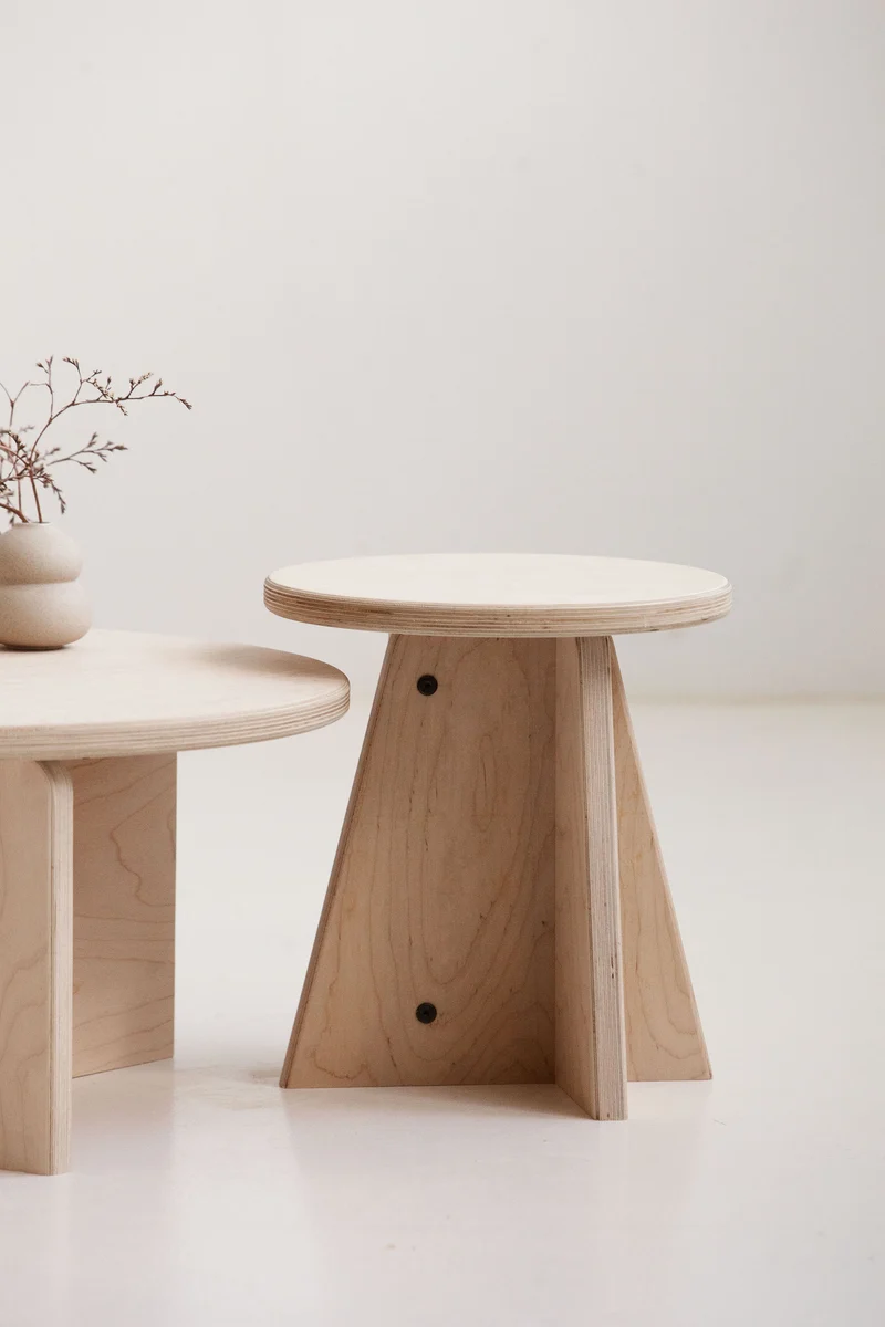 Set of Two Coffee Tables
