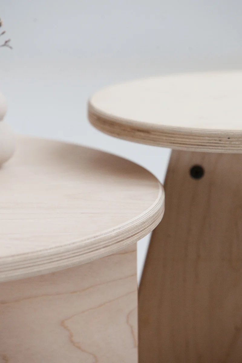 Set of Two Coffee Tables