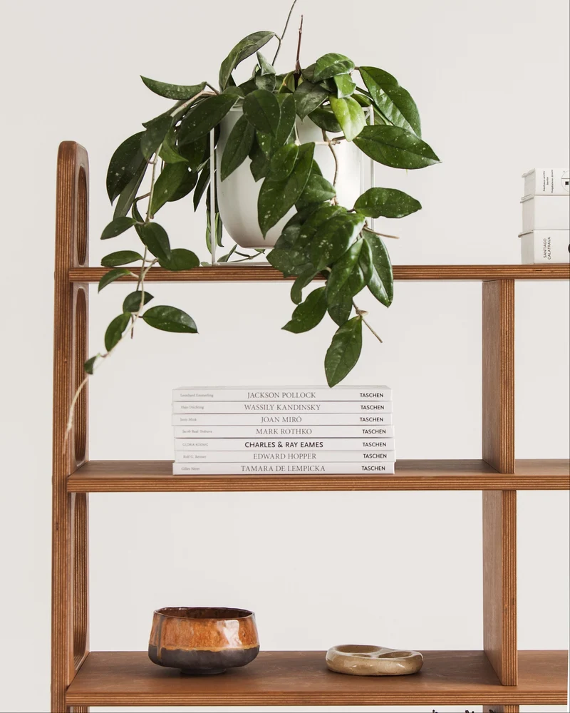 Maxi Library Bookcase · 190 cm