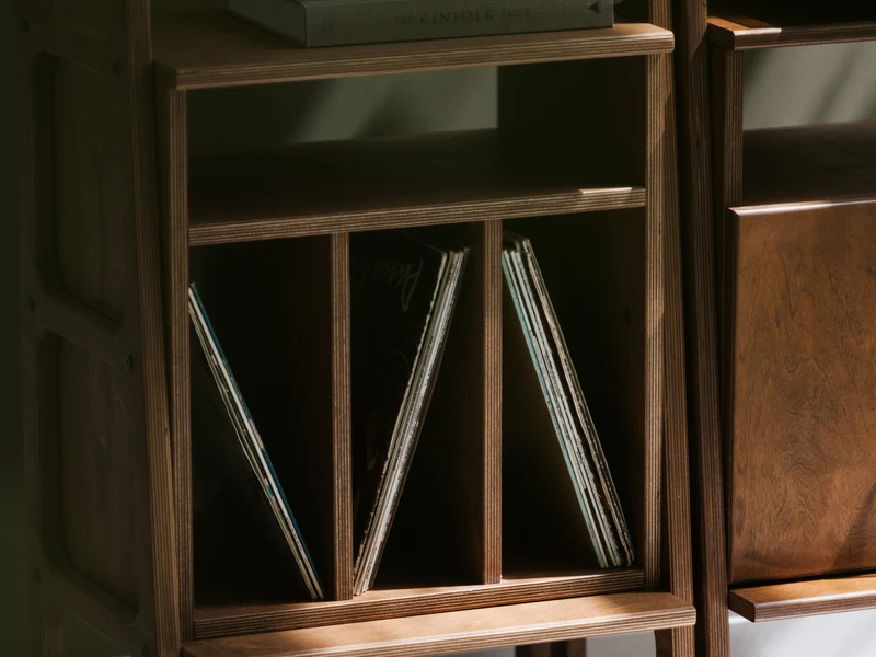 Vinyl Record Wall Unit · Set IV