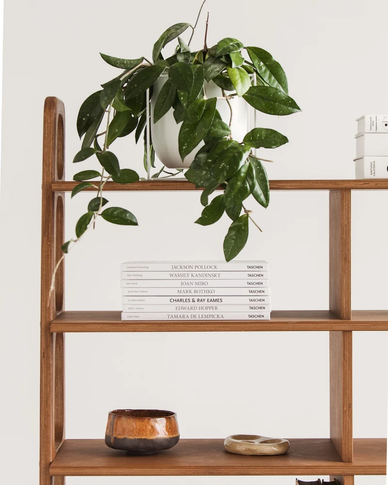 Maxi Bookcase · 190 cm