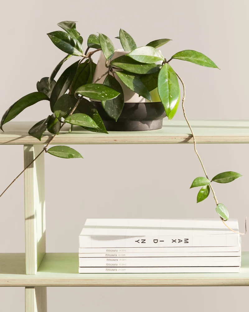Midi Bookcase · 120 cm · Drawers + Cabinet