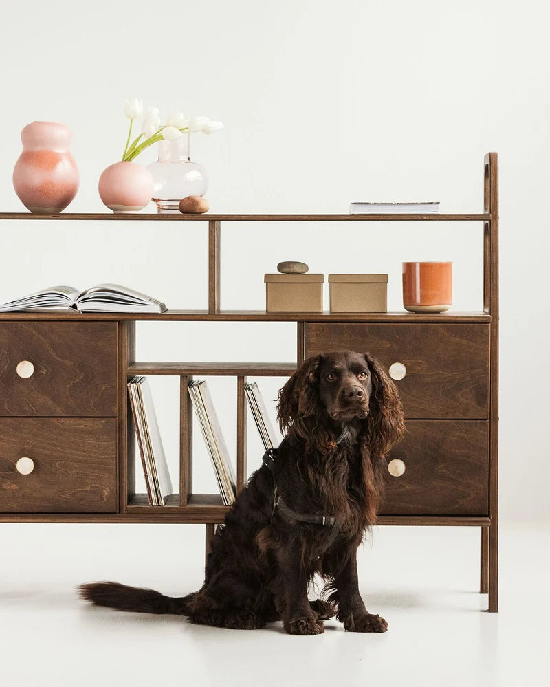 Midlite Bookcase · 143 cm · Drawers + Vinyl