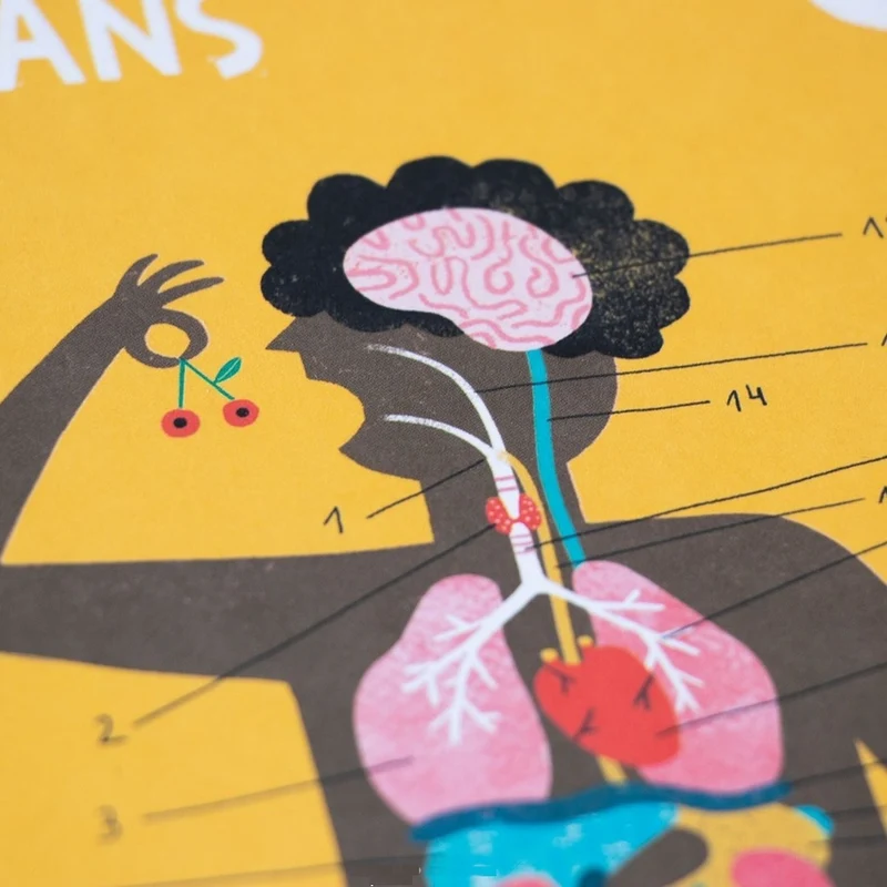 Jeu d'apprentissage - Inside me