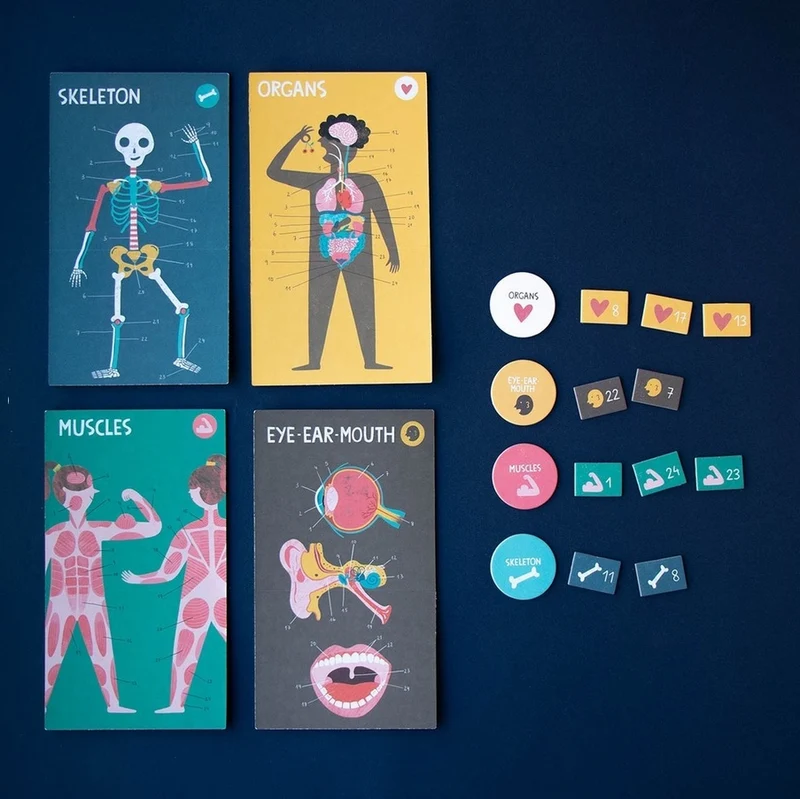 Jeu d'apprentissage - Inside me